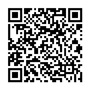 当初我能那么轻易的破去我们圣弃界的这一道封印二维码生成