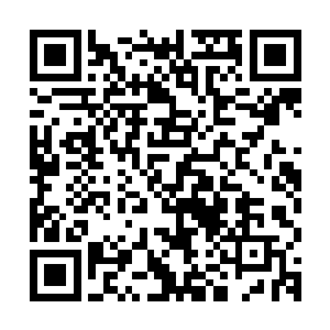 当初我说这些兔子都是岛过二战冤魂转世投胎的话都是骗你们的二维码生成