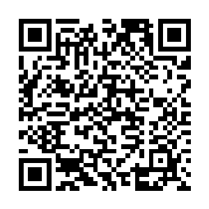 当初我都想去棒子国把自己往不帅的方向整容一下了二维码生成