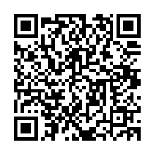 当初敢在镇海山挑衅元芳和赖雨涵两个青莲一品也不是没原因的二维码生成