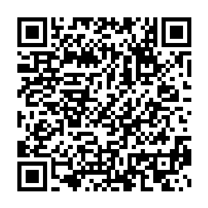 当初木城那位对九原宣誓效忠的九级战士木植在种植方面真的有奇才二维码生成