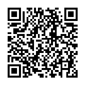 当初林枫孤身一人就能在这圣城之中杀个四进四出二维码生成