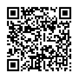 当初死神联盟追杀夜机山的命令也是由他代为传达二维码生成