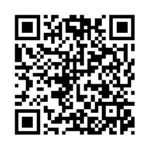 当初沈家一事我早已忘却的一干二净二维码生成