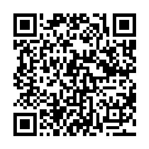 当初洛天子还拉着乔洁在四中门口演了一出戏给李自新看二维码生成