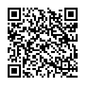 当初洪大力为了手下凌小依的弟弟凌慕风出头的事二维码生成