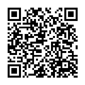 当初王家的事情可不就是被秦家这小子给说中了吗二维码生成