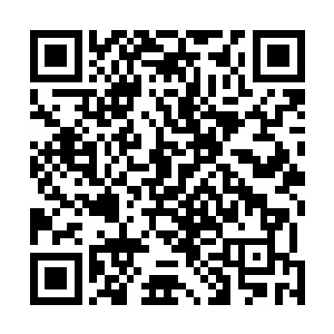 当初的二祭祀陆云子能得到三十多枚……他是怎么做到的二维码生成