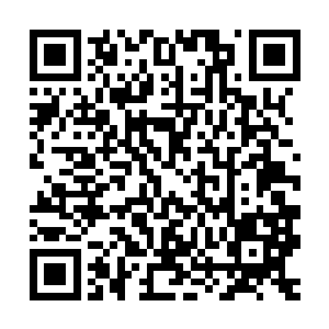 当初的冰雪荒原可以吸引到圣光帝国一个权杖大牧领觊觎的目光二维码生成