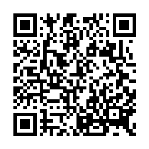 当初的古董珍玩几乎都是通过她的天眼判断而出二维码生成