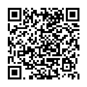 当初的时候丁羽为什么一定要坚持着带王阳过去二维码生成