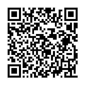 当初的时候不仅仅是摸了老虎的屁股这么的简单二维码生成