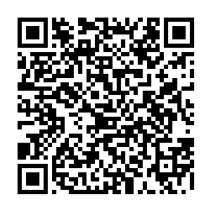 当初的时候他亲自见到一个杀气化龙的高手以一己之力灭掉了一个一流宗门二维码生成