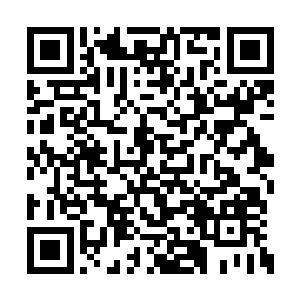 当初的时候他们对无极圣山出手实在是太突然了二维码生成