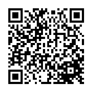 当初的时候本座一不小心将圣尊系统跟这些东西给融合了二维码生成