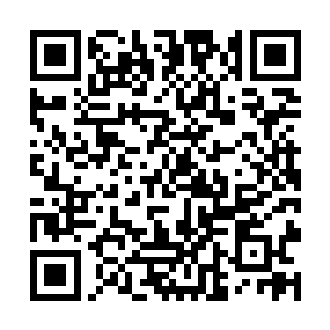 当初的时候蛮苍使用蛮荒圣殿阻击恶龙之魂就是这般二维码生成