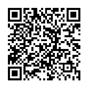 当初的星网之父威尔逊博士既然预见了机器智能的暴动二维码生成