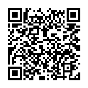 当初的枯叶婆婆虽然说在名头上无法跟神机子相比二维码生成