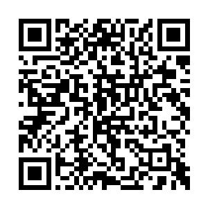 当初的龟族王者如今已经成为震慑海域的大帝了二维码生成