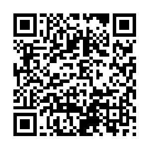 当初秦宇从杨家人手上得到的号称是鲁班打造的棺材二维码生成