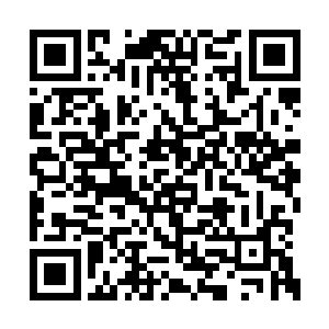 当初秦宇将这神灵之棺给收入江山社稷图的时候二维码生成