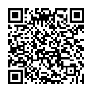 当初老主人正是见过暗夜大帝如此行径才出手教训的二维码生成