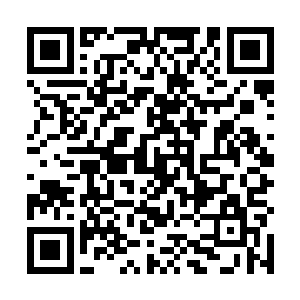 当初联姻之时北戎王可从来没提要派人和定国王府联姻二维码生成