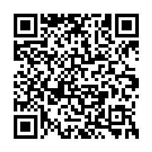 当初若不是看在你父母可怜兮兮的跪在校长面前二维码生成