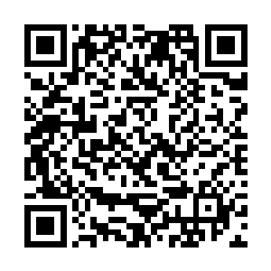 当初莱昂纳多在首映式红地毯上不假思索地说了一句二维码生成