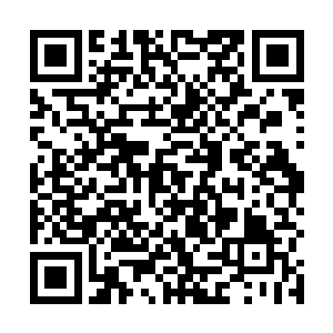 当初血腥大帝和他签订的契约里有一个非常可怕的漏洞二维码生成