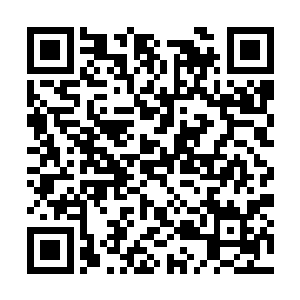 当初被虞品言整治过的族人现今都聚在虞俊伟身边二维码生成