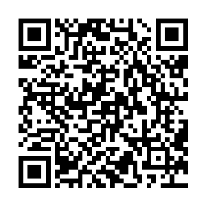 当初褚玉河他们一行人在这座神殿中研究了这么长的时间二维码生成