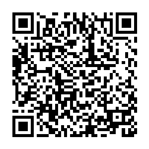 当初许紫烟秘密给了镇守许家族地的两个小古藤各自一个传讯玉简二维码生成