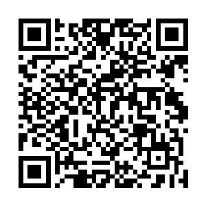 当初这佛经还是李掌柜和祥宝斋的一位鉴定师共同鉴定的二维码生成