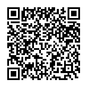 当初进入魔兽山脉历练的烈焰佣兵团核心成员便已经全部集合完毕二维码生成