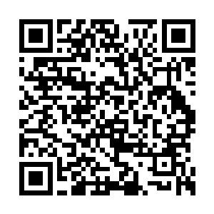 当初那个钻石大王阿达罗柯将田蜜与慕心怡抓走二维码生成