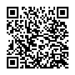 当初那么多附身于我们龙族的势力被我们龙族抛弃二维码生成