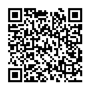 当初那些一起带着青涩的笑容聚在一起的小伙伴们二维码生成