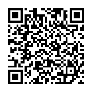 当初那些人为了利用艾丽莎这个穆斯林国家参赛佳丽博眼球二维码生成