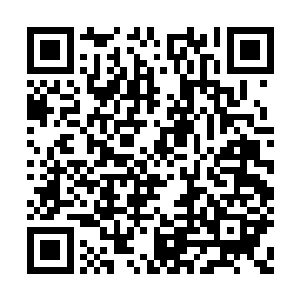 当初那根手指很有可能已经毁掉了那一个时间段二维码生成