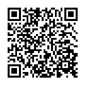 当初那种被吊打的恐惧已经深深地植入了它的灵魂之中二维码生成