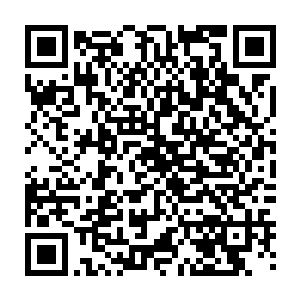 当初金地君带来的穿山甲家族经历了亿万年的繁殖已经到达了一个恐怖的数量二维码生成