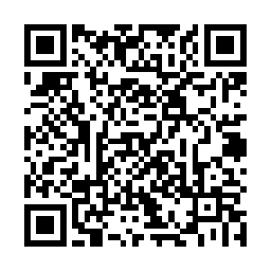 当初面对郑炎我们几人合伙用尽百般心机才将对方拿下二维码生成