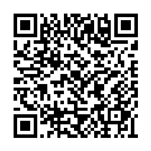 当包括金玉言在内的大家都去搜索爆炸的主谋时二维码生成