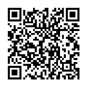 当十六万艘魔神战舰全部都进入到己方设置好的埋伏圈之后二维码生成