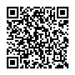 当千击勿的爪子离他只有一条手臂长短的距离时二维码生成