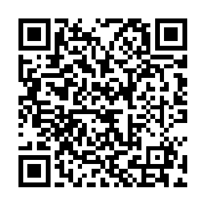 当南宫流云在带着苏落冲进黑暗通道时使用出龙凤虚影二维码生成