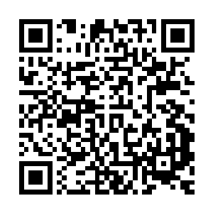 当卫兵看到萨昆塔亲自去迎接那个开萨昆塔黄金跑车的人的时候二维码生成