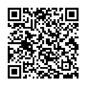 当即两人走上前去给这夜总会老板上下一顿搜身二维码生成