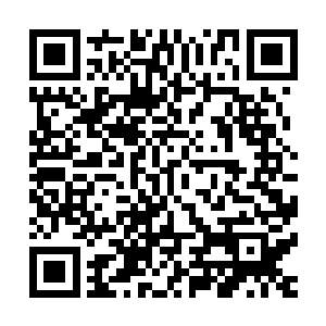 当即举起手机还滴着血的斧头对着身下的贱骨头就是一阵猛砍二维码生成